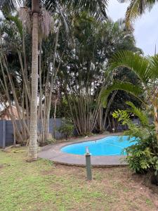 a swimming pool in a yard with palm trees at Nobelina Guest House in Richards Bay