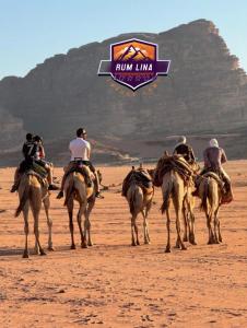 un grupo de gente montando caballos en el desierto en RUM LINA lUXURY CAMP, en Wadi Rum 99 fotos más