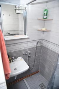 プラヴにあるVisitor view apartmentの洗面台とシャワー付きのバスルーム +19枚の写真