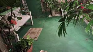 Zahrada ubytování Casa do Edinho