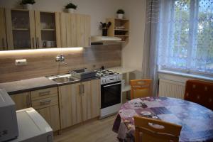 a kitchen with a stove and a sink and a table at DáMa in Ružomberok