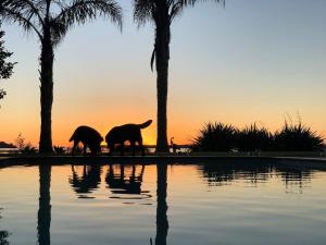 two elephants walking by a pool of water with palm trees at Harbour views in Athenree