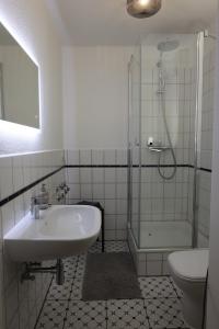 a bathroom with a sink and a shower and a toilet at Gemütliches Schmuckstück mit zwei Schlafzimmern in Mügeln +10 photos