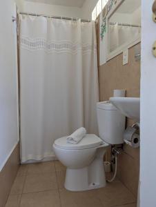 a bathroom with a toilet and a shower curtain at Arsamici Hotel in Punta del Este