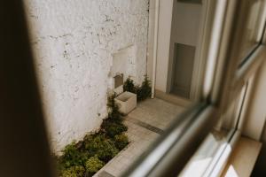 Blick aus einem Fenster auf einen Innenhof mit Pflanzen in der Unterkunft Boutique Apartments Old Town in Mostar