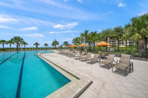 a swimming pool with chairs and umbrellas at Gulf and Bay Club- F401 in Siesta Key