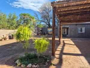 a tree in a garden next to a building at Casa y Departamentos Valle del Bermejo in Villa Unión