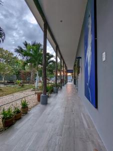 バジャドリドにあるThe Blue Eco Lodgeの鉢植えの廊下 +37枚の写真