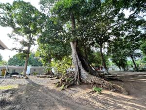 Zahrada ubytování EcoSurf Villa Sunzal, La Libertad