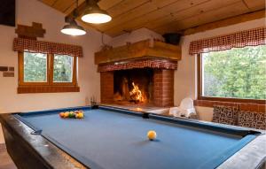 a pool table in a room with a fireplace at Pet Friendly Home In Gornje Dubrave With Sauna in Perići