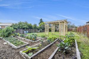 een tuin met vier gekweekte groenten in een tuin bij Boxed Bliss on Fox in Hamilton