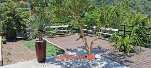 een houten terras met een bank en een palmboom bij Casa em Chapeco com Piscina Privativa e Vista Lago in Nonoai +14 foto's