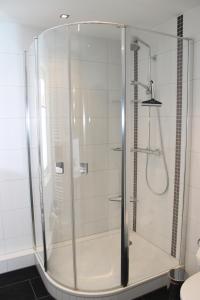 una ducha con mampara de cristal en un baño en Ferienwohnung Horn, en Pirna 5 fotos más