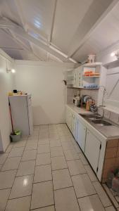 eine Küche mit Spüle und Kühlschrank in der Unterkunft La maison des flots in Baille-Argent