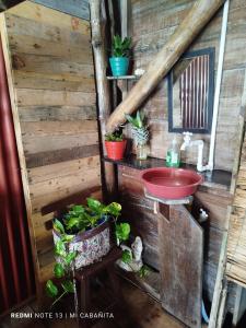 a bathroom in a log cabin with a sink and plants at Mi Cabañita Guest House in Playa Blanca