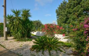 a garden with pink flowers and palm trees at Stunning Home In Comiso With Wifi in Comiso Airport +8 photos