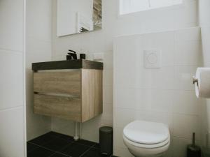 a bathroom with a toilet and a sink at Luxury Holiday Loft in Si-Es-An in Balkbrug