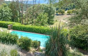 a swimming pool in a garden with bushes at Awesome Apartment In Bibbiena in Serravalle