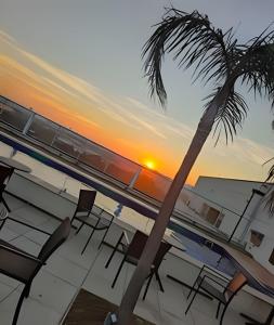 a palm tree and chairs on a balcony with the sunset at Flat em São Paulo - Completo e Acolhedor in São Paulo