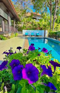 een tuin met paarse bloemen naast een zwembad bij SeaView Villa Tropicana in Salad Beach