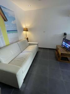 Μια τηλεόραση ή/και κέντρο ψυχαγωγίας στο Appartement 6 couchages +3 φωτογραφίες