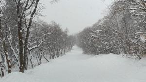 Το Ski lodge τον χειμώνα