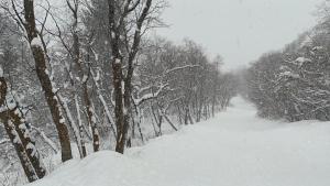Το Ski lodge τον χειμώνα