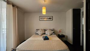 サンティアゴにあるDepartamentos Familiares Santiago de Chileの部屋の中に大きなベッドがある寝室