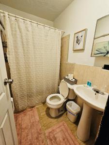 a bathroom with a toilet and a sink at Pedro's Place Peaceful 1 bedrm, 1 bathrm Villa in Sinajana