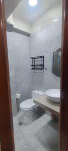 een badkamer met toilet en wastafel bij Casa Sol in Tingo María +7 foto's