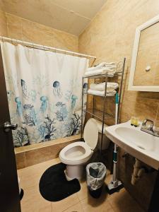 SinajanaにあるPedro's Place 1 bedroom and 1 bathroomのトイレと洗面台のあるバスルーム