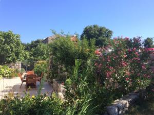 Zahrada ubytování Apartments Vodarić Loznati