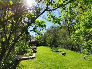 two geese walking in the grass in a yard at Gîte de charme, jardin privé, proche Tours, animaux admis - FR-1-381-637 in La Riche