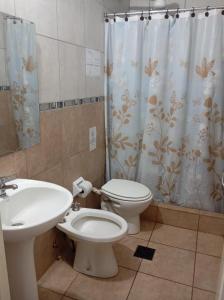 a bathroom with a sink and a toilet and a shower curtain at Morada Donatella in Posadas