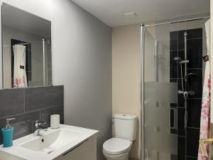 a bathroom with a toilet and a sink and a shower at Gîte chaleureux à Chapeau avec jardin et terrasse - FR-1-489-601 in Chapeau +19 photos