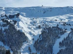a snow covered mountain with trees on top of it at Studio Cabine F4 en Station Ski - 200m des Pistes - FR-1-687-118 in Flaine +3 photos