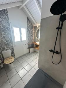 a bathroom with a shower and a toilet in a room at Duplex Atypique et Authentique in Saint Martin +7 photos