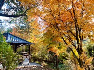 uma cabana no meio de uma floresta com árvores em blue in green 飯田高原 cottage and cafe em Iida mais 7 fotografias