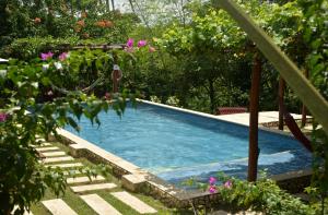 a swimming pool in a garden with purple flowers at Ecohotel Summer Usiacuri in Usiacurí +29 photos