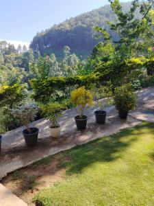 Příroda nedaleko vily