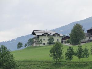 dom na szczycie zielonego wzgórza z drzewami w obiekcie Appartement Greti w Schladming