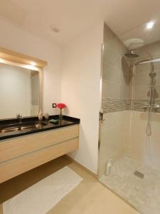 a bathroom with a sink and a shower with a mirror at Chambre Saint Gilles les bains1 in Saint-Paul