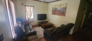 a living room with a couch and a television at Downtown Dog Friendly House in Fargo