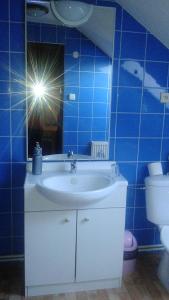 Ένα μπάνιο στο Guest House U Náhonu