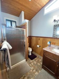 a bathroom with a shower and a toilet and a sink at Bearadise Cabin in Sugarloaf +42 photos