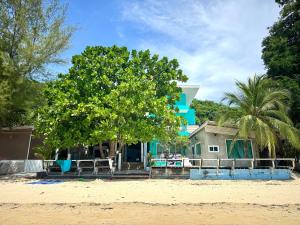 una casa en la playa con un árbol delante en Sea Dreamer Beachfront Apartments, en Phuket