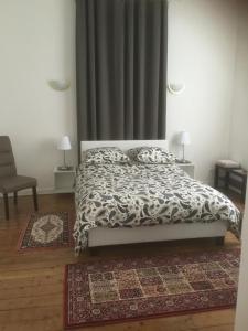 een slaapkamer met een bed met een dekbed en een tapijt bij Appartements chez Tante Germaine - Proximité Institutions Européennes in Straatsburg