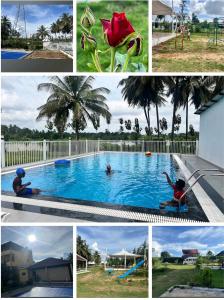 a collage of photos with a man in a swimming pool at Encanto Farmstay Resort in Mysore