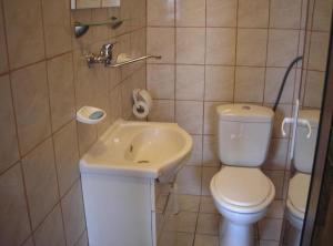 a small bathroom with a toilet and a sink at Rooms Zeko in Aljmaš +40 photos