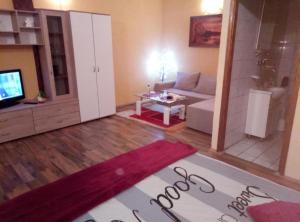 a living room with a couch and a tv at Rooms Zeko in Aljmaš